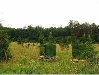 Tady bydl veliky